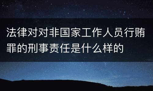 法律对对非国家工作人员行贿罪的刑事责任是什么样的