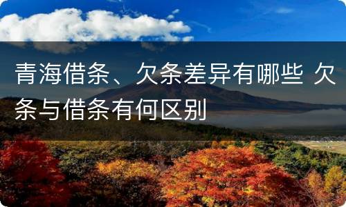 青海借条、欠条差异有哪些 欠条与借条有何区别