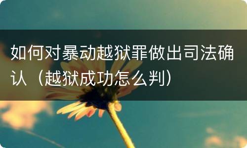 如何对暴动越狱罪做出司法确认（越狱成功怎么判）