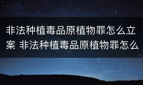 非法种植毒品原植物罪怎么立案 非法种植毒品原植物罪怎么立案起诉