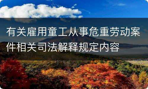 有关雇用童工从事危重劳动案件相关司法解释规定内容