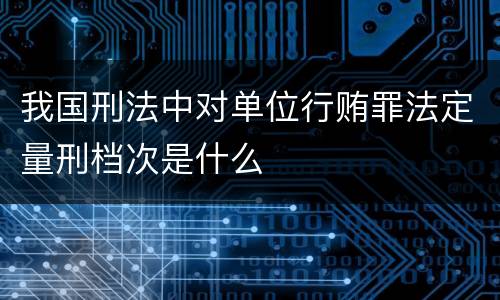 我国刑法中对单位行贿罪法定量刑档次是什么