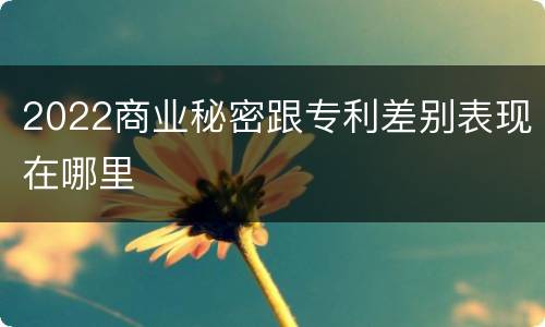2022商业秘密跟专利差别表现在哪里