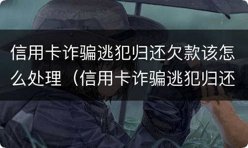 信用卡诈骗逃犯归还欠款该怎么处理（信用卡诈骗逃犯归还欠款该怎么处理好）