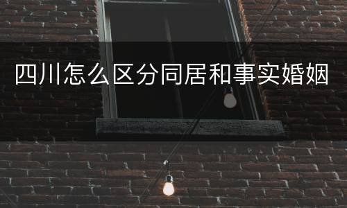 四川怎么区分同居和事实婚姻