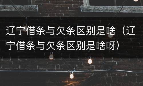 辽宁借条与欠条区别是啥（辽宁借条与欠条区别是啥呀）