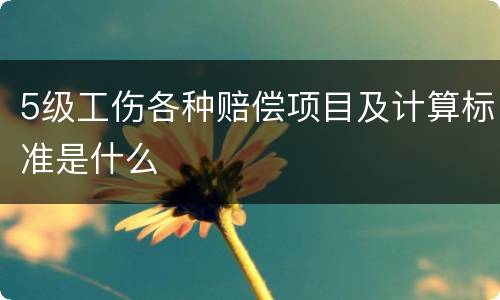 5级工伤各种赔偿项目及计算标准是什么