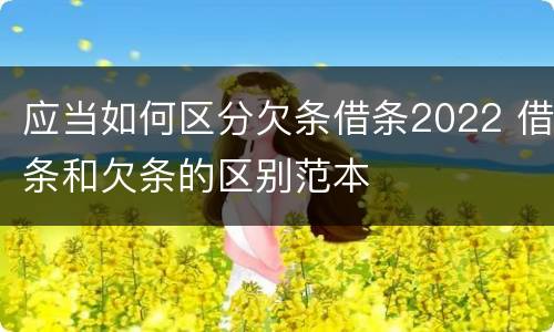 应当如何区分欠条借条2022 借条和欠条的区别范本