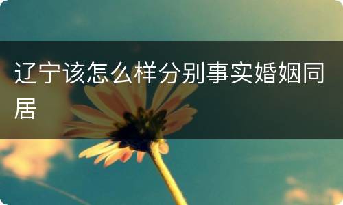 辽宁该怎么样分别事实婚姻同居