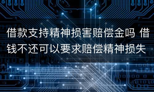借款支持精神损害赔偿金吗 借钱不还可以要求赔偿精神损失费吗