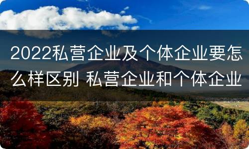 2022私营企业及个体企业要怎么样区别 私营企业和个体企业