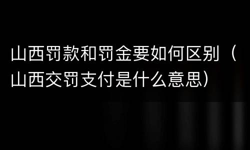 山西罚款和罚金要如何区别（山西交罚支付是什么意思）