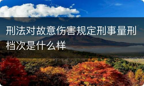 刑法对故意伤害规定刑事量刑档次是什么样