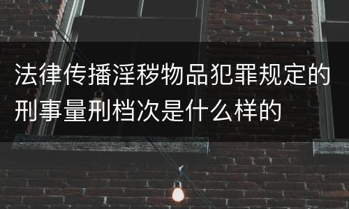 法律传播淫秽物品犯罪规定的刑事量刑档次是什么样的
