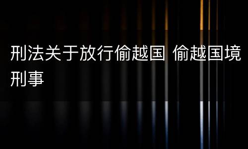 刑法关于放行偷越国 偷越国境刑事