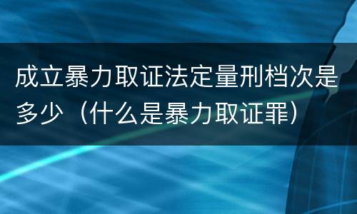 成立暴力取证法定量刑档次是多少（什么是暴力取证罪）