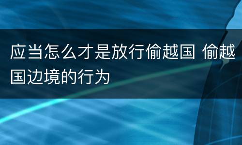 应当怎么才是放行偷越国 偷越国边境的行为