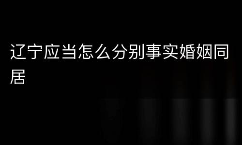 辽宁应当怎么分别事实婚姻同居