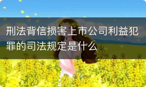 刑法背信损害上市公司利益犯罪的司法规定是什么