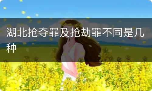 湖北抢夺罪及抢劫罪不同是几种