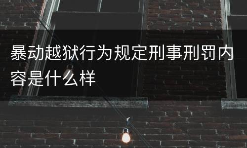暴动越狱行为规定刑事刑罚内容是什么样