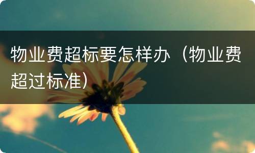 物业费超标要怎样办（物业费超过标准）
