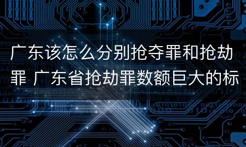 广东该怎么分别抢夺罪和抢劫罪 广东省抢劫罪数额巨大的标准