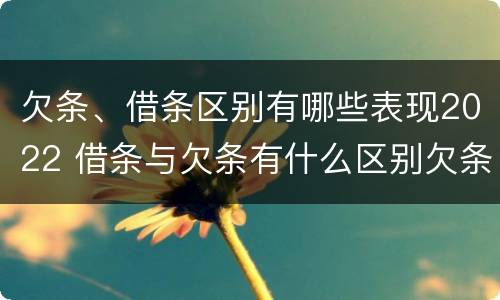 欠条、借条区别有哪些表现2022 借条与欠条有什么区别欠条怎么写