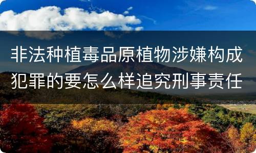 非法种植毒品原植物涉嫌构成犯罪的要怎么样追究刑事责任