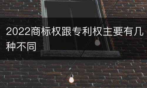 2022商标权跟专利权主要有几种不同