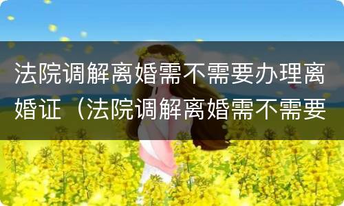 法院调解离婚需不需要办理离婚证（法院调解离婚需不需要办理离婚证明）