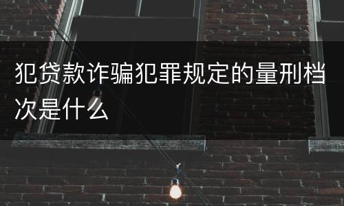 犯贷款诈骗犯罪规定的量刑档次是什么