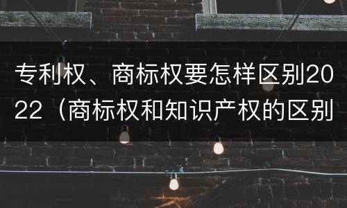 专利权、商标权要怎样区别2022（商标权和知识产权的区别）
