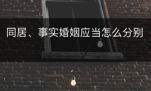 同居、事实婚姻应当怎么分别