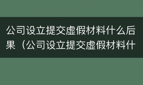 公司设立提交虚假材料什么后果（公司设立提交虚假材料什么后果啊）