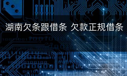 湖南欠条跟借条 欠款正规借条