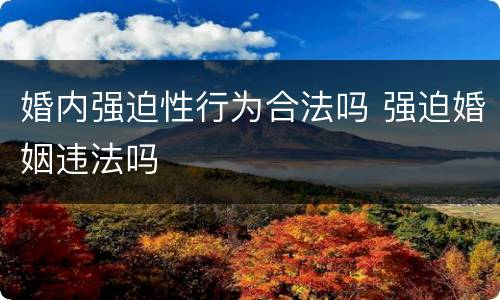 婚内强迫性行为合法吗 强迫婚姻违法吗