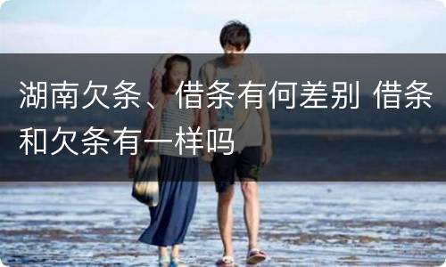 湖南欠条、借条有何差别 借条和欠条有一样吗