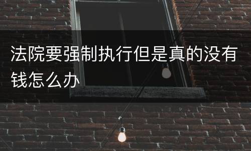 法院要强制执行但是真的没有钱怎么办
