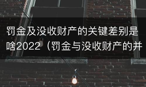 罚金及没收财产的关键差别是啥2022（罚金与没收财产的并罚）