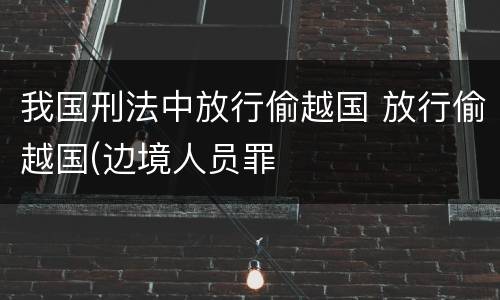 我国刑法中放行偷越国 放行偷越国(边境人员罪