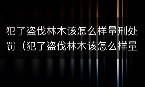 犯了盗伐林木该怎么样量刑处罚（犯了盗伐林木该怎么样量刑处罚多少）
