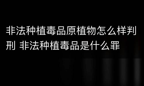 非法种植毒品原植物怎么样判刑 非法种植毒品是什么罪