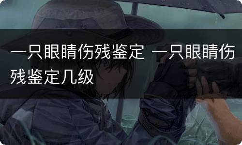一只眼睛伤残鉴定 一只眼睛伤残鉴定几级