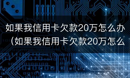 如果我信用卡欠款20万怎么办（如果我信用卡欠款20万怎么办呢）