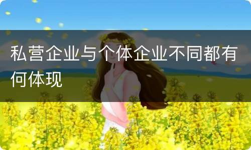 私营企业与个体企业不同都有何体现
