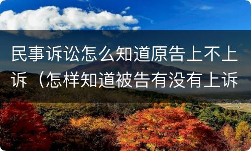 民事诉讼怎么知道原告上不上诉（怎样知道被告有没有上诉）