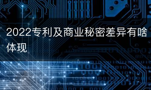 2022专利及商业秘密差异有啥体现