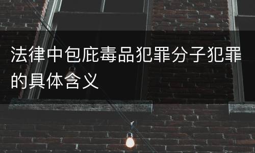 法律中包庇毒品犯罪分子犯罪的具体含义