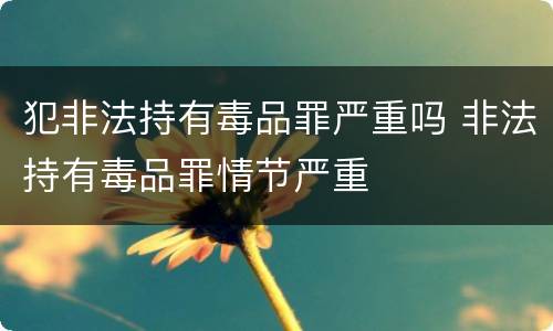犯非法持有毒品罪严重吗 非法持有毒品罪情节严重